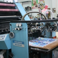 Roland Favorit RVF OB