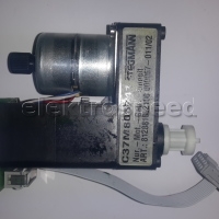 Roland  Stegmann C37M805741
