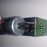 Roland Stegmann C37M805741