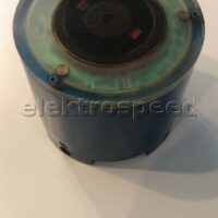 weko 204174