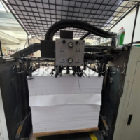 Man Roland 304P 1999 (6)